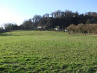 Selborne Hanger