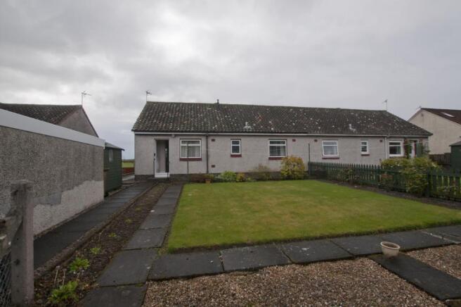 Rear garden (2)