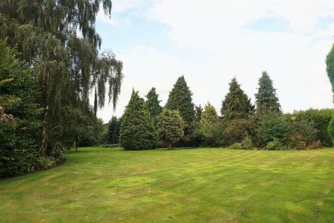 Garden 3