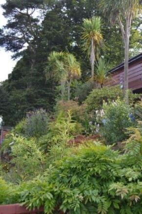 Back Garden