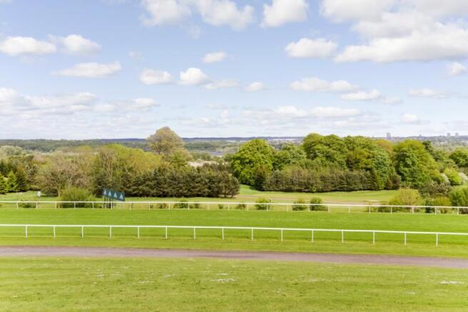 Racecourse