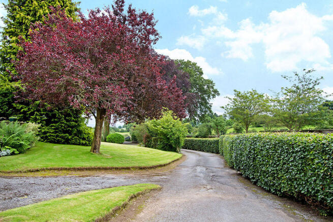 Driveway
