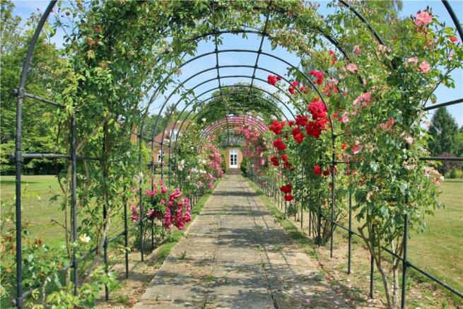 Rose Walkway
