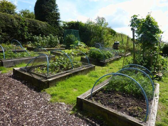 Veg garden