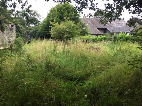Wildlife garden