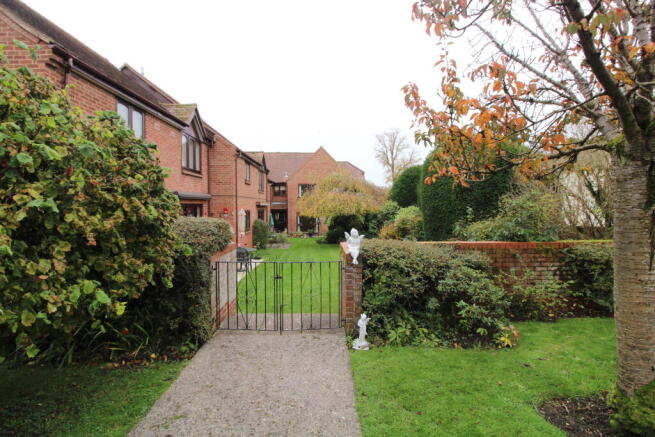 Photo 7