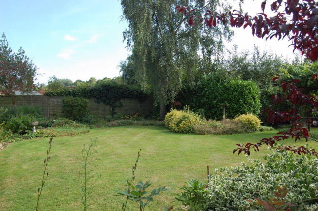 Photo 24
