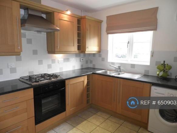 Modern Kitchen