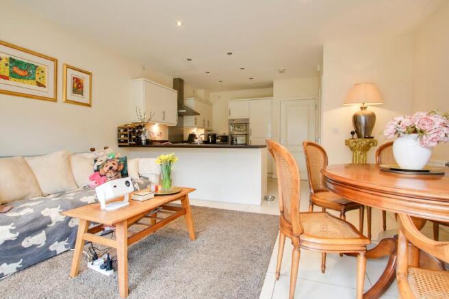 Open Plan Living Dining Kitchen