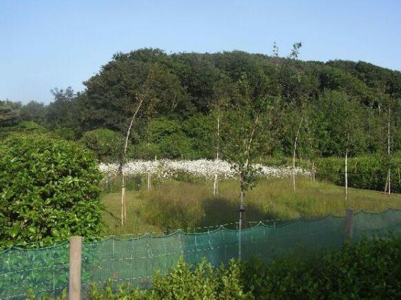 The Orchard area