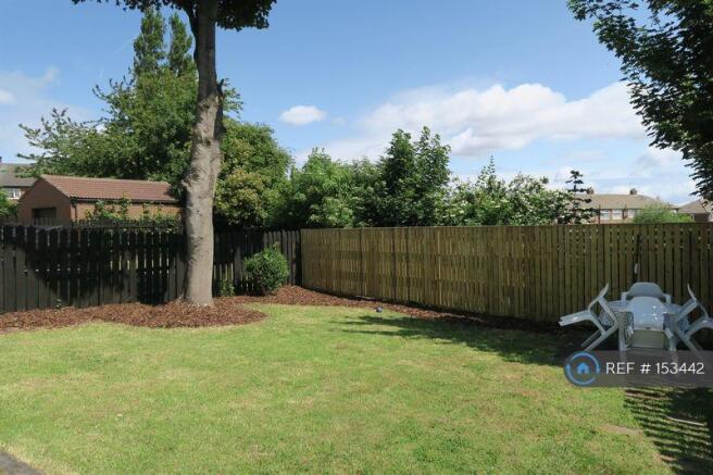 Rear Garden 2