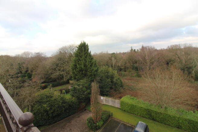 View T202602031526.jpg