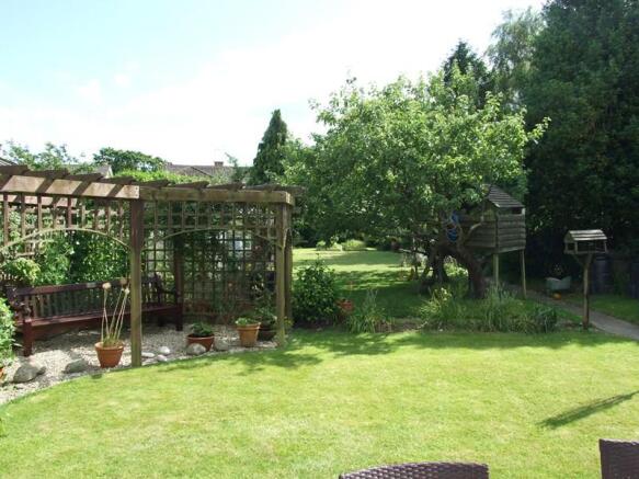 Photo 11