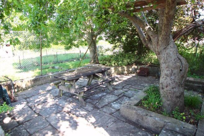 Photo 24