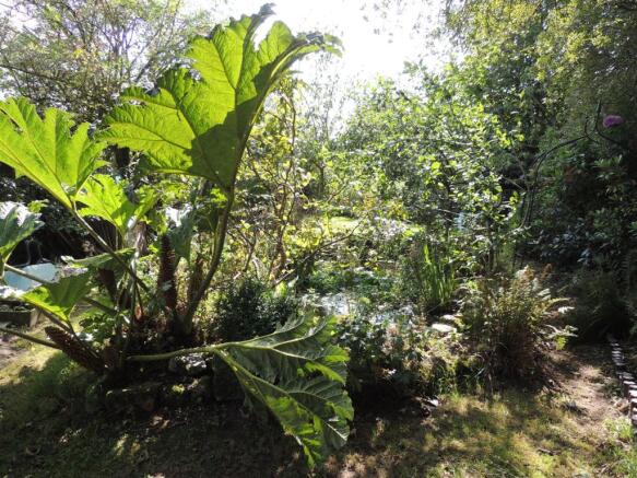 Photo 40