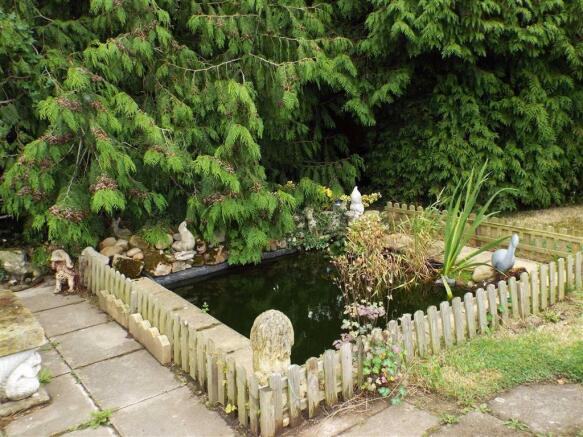 GARDEN PHOTO