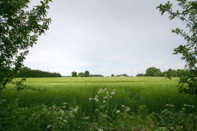 Farmland Views