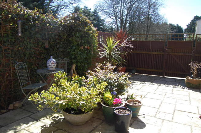 Photo 17