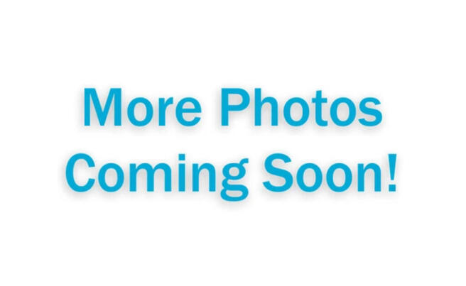 1 bed Apartment to rent Image 5