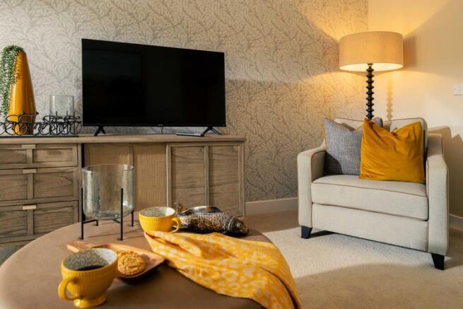 Show home living room