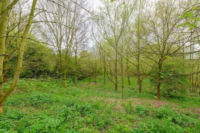 68NantwichRoad_062.jpg