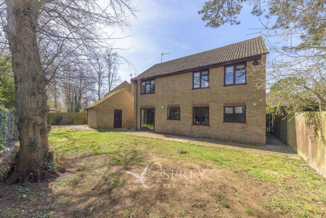 Rear Elevation