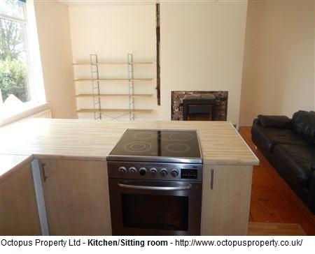 Picture 15
