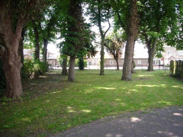 Mature Garden