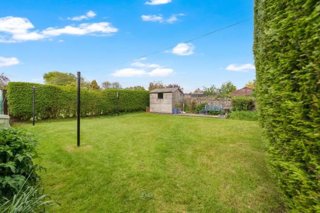 Back Garden
