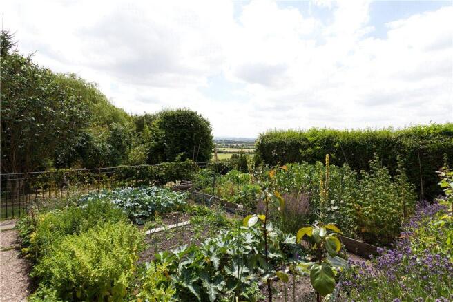 Vegetable Garden