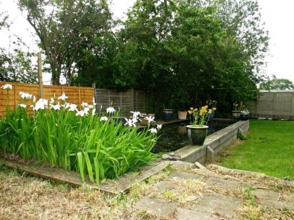 Feature Pond