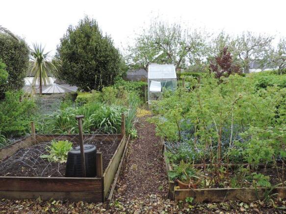 Kitchen garden