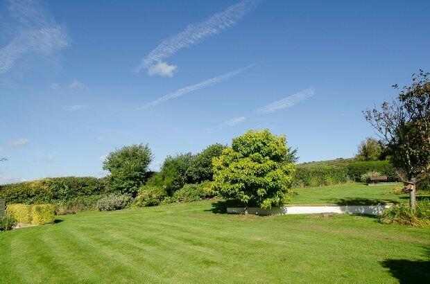 Rear Gardens Pic 2
