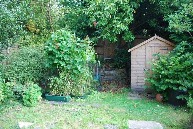 Photo 15