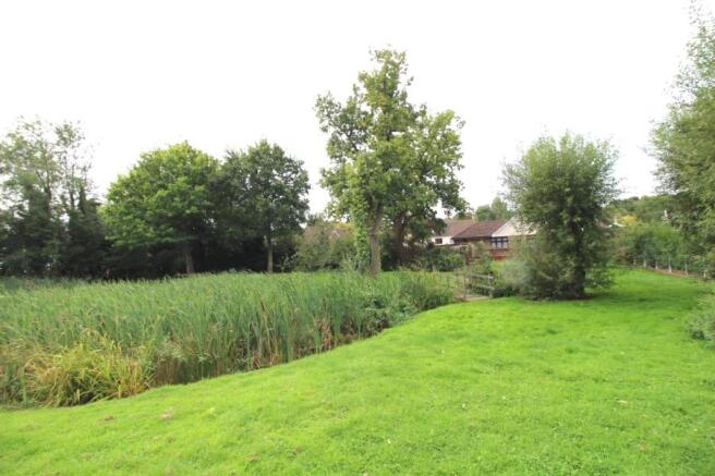 View To The Pond