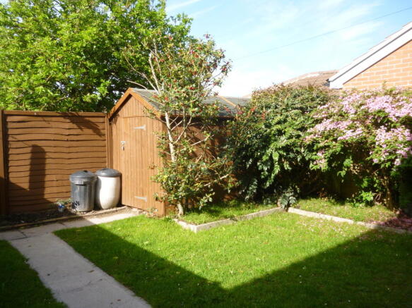 Photo 10
