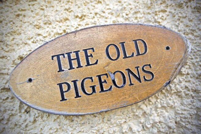 The Old Pigeons