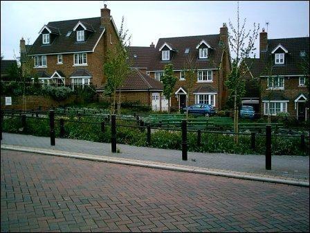 Communal garden