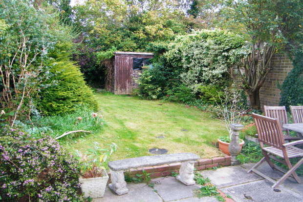 Photo 6