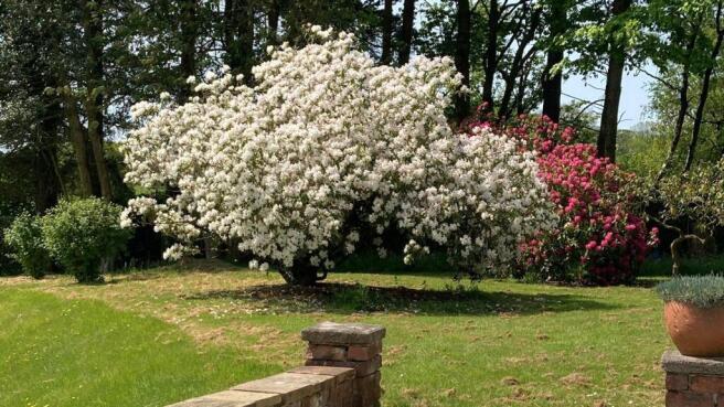 Gardens