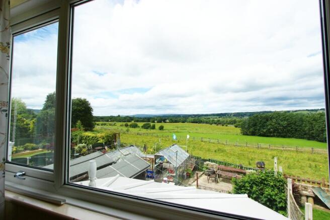 View From Bed 2