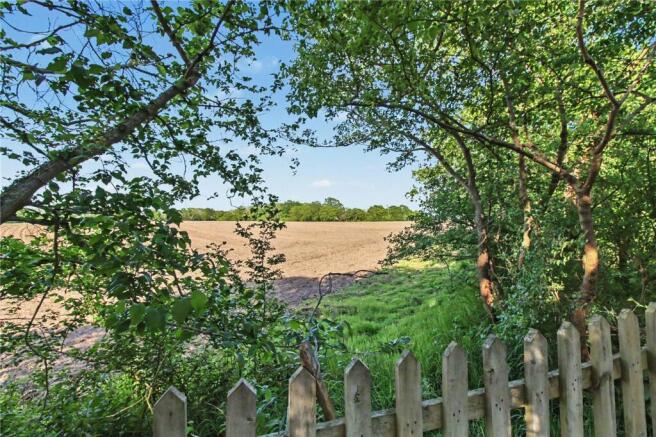 Rear Field Views