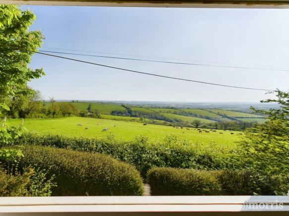 Sunny View.jpg
