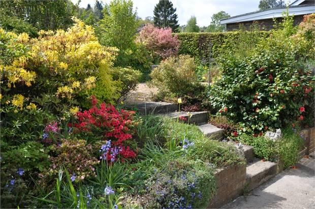 Property Rental Service: