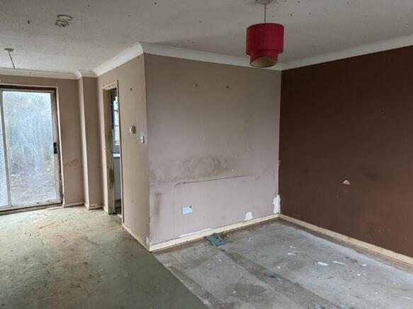 2 Medium T202601271644.jpg