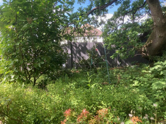 garden 8