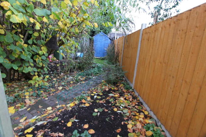 Photo 11