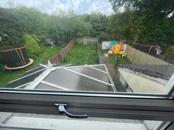 Back garden