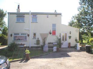 Rear aspect