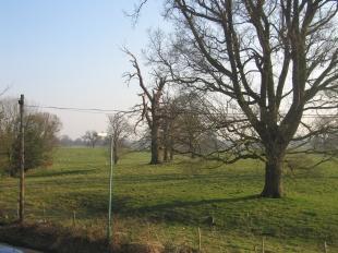 View From Bedroom 1